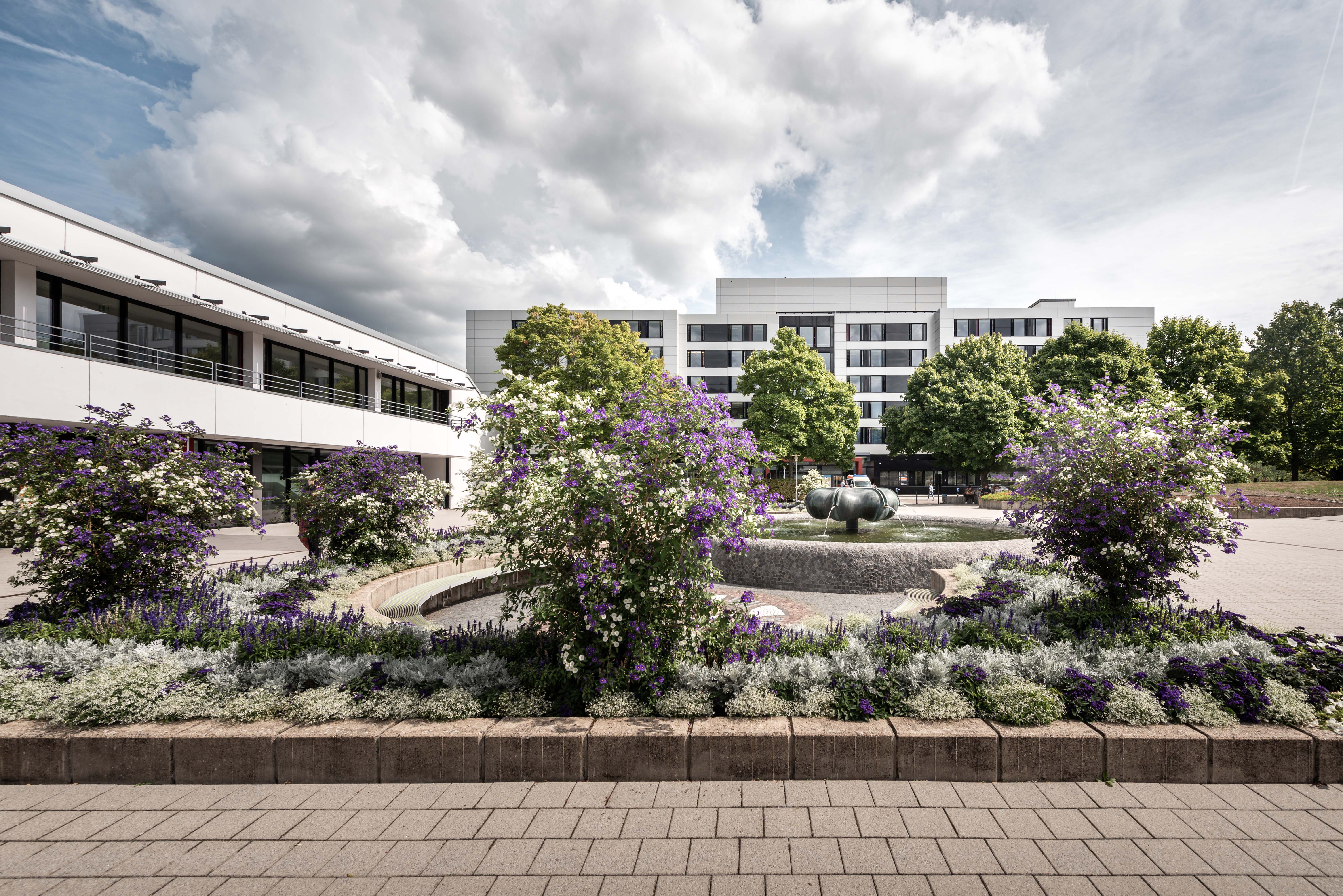 Zentrum für Psychiatrie Calw - Klinikum Nordschwarzwald